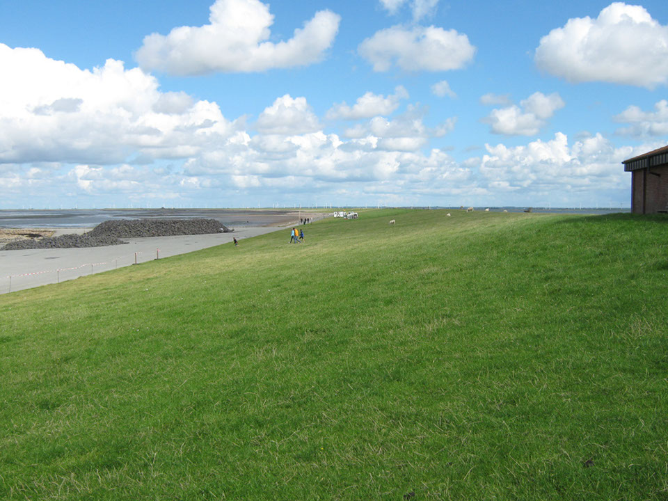 2010-0827-13